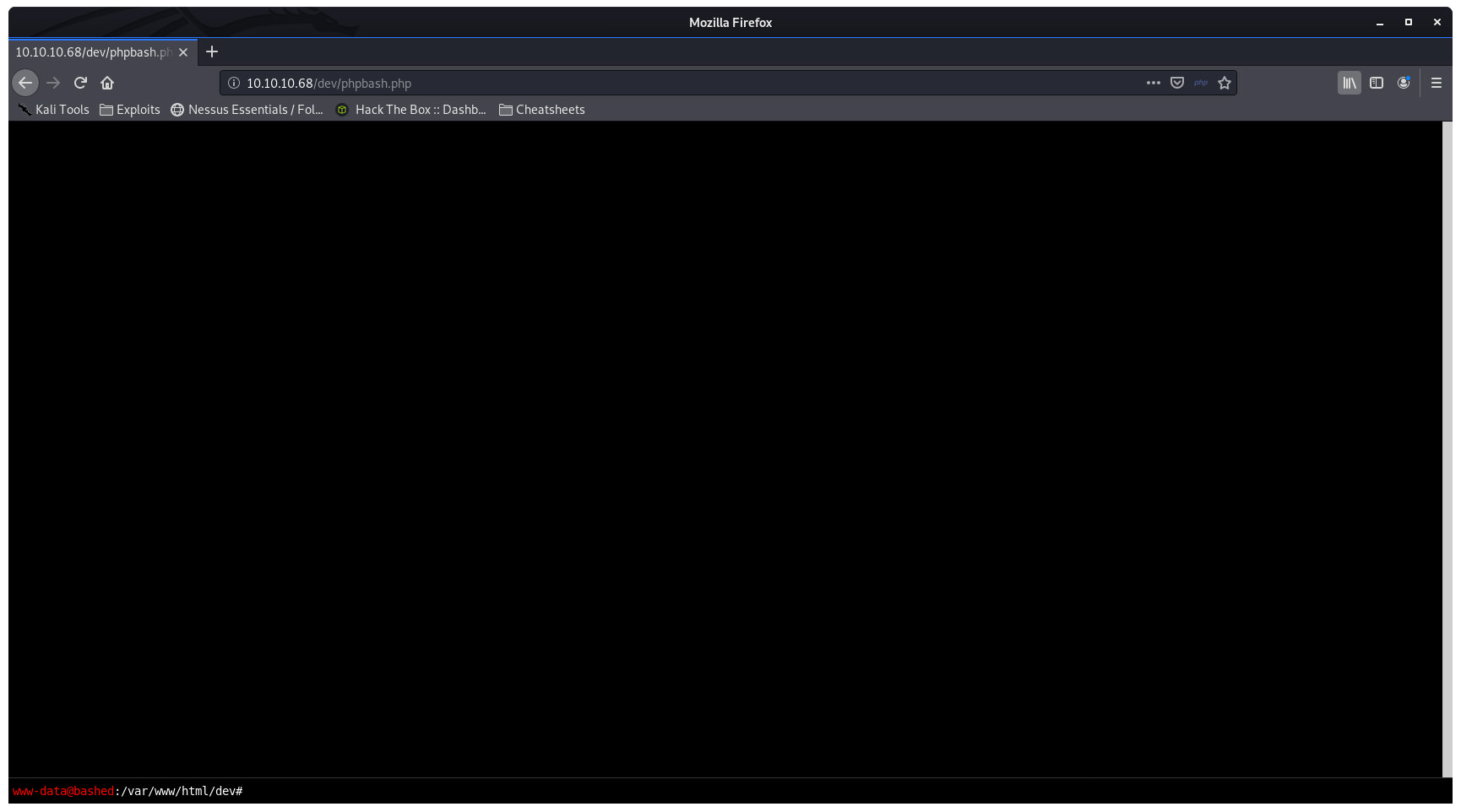 hackthebox bashed phpbash shell